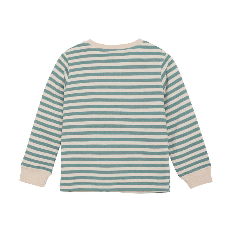 Rückansicht des Langarm-T-Shirts in Ocean Green von Daily Seven mit Streifenmuster.